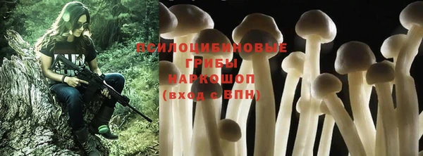 кокс Абаза