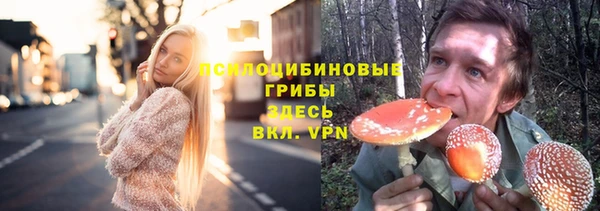 кокс Абаза