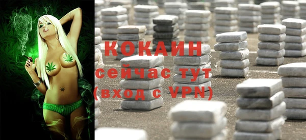 МДПВ Абинск