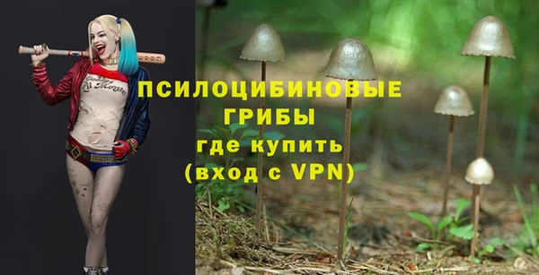 не бодяженный Покачи