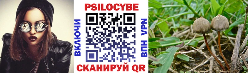 Псилоцибиновые грибы мицелий  купить   Заринск 