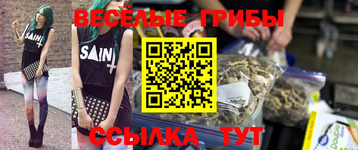 Псилоцибиновые грибы MAGIC MUSHROOMS  Псилоцибиновые грибы MAGIC MUSHROOMS  Заринск  Вход с VPN 